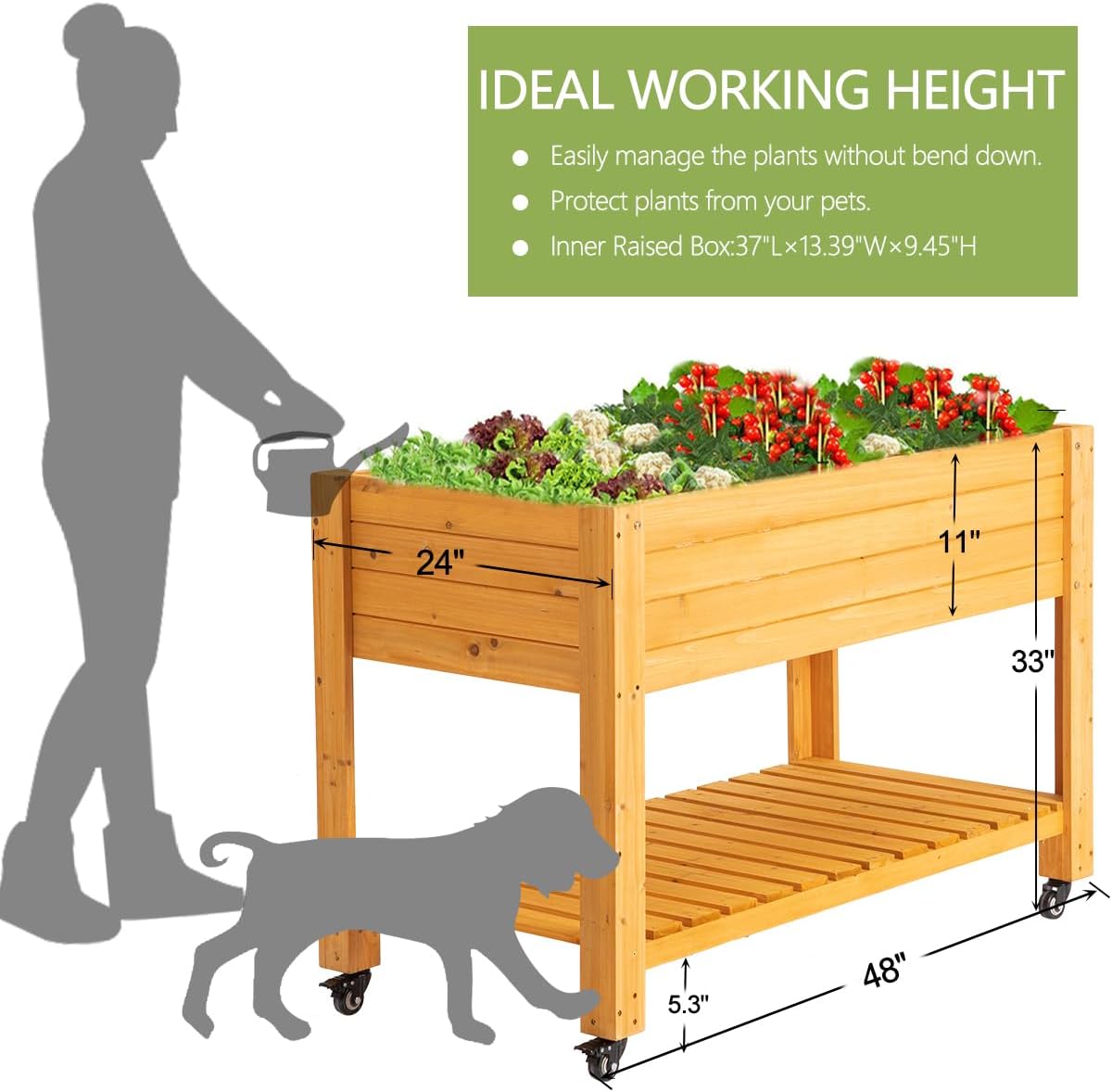 Mobile Wooden Elevated Raised  - Raised Garden Bed ulasan dan harga