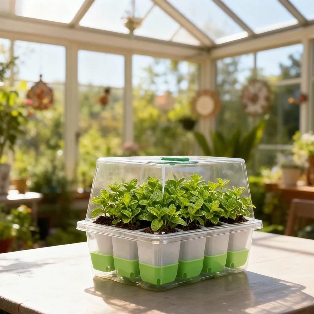 12 cell Seedling Starter Tray  - Seed Starter Tray ulasan dan harga