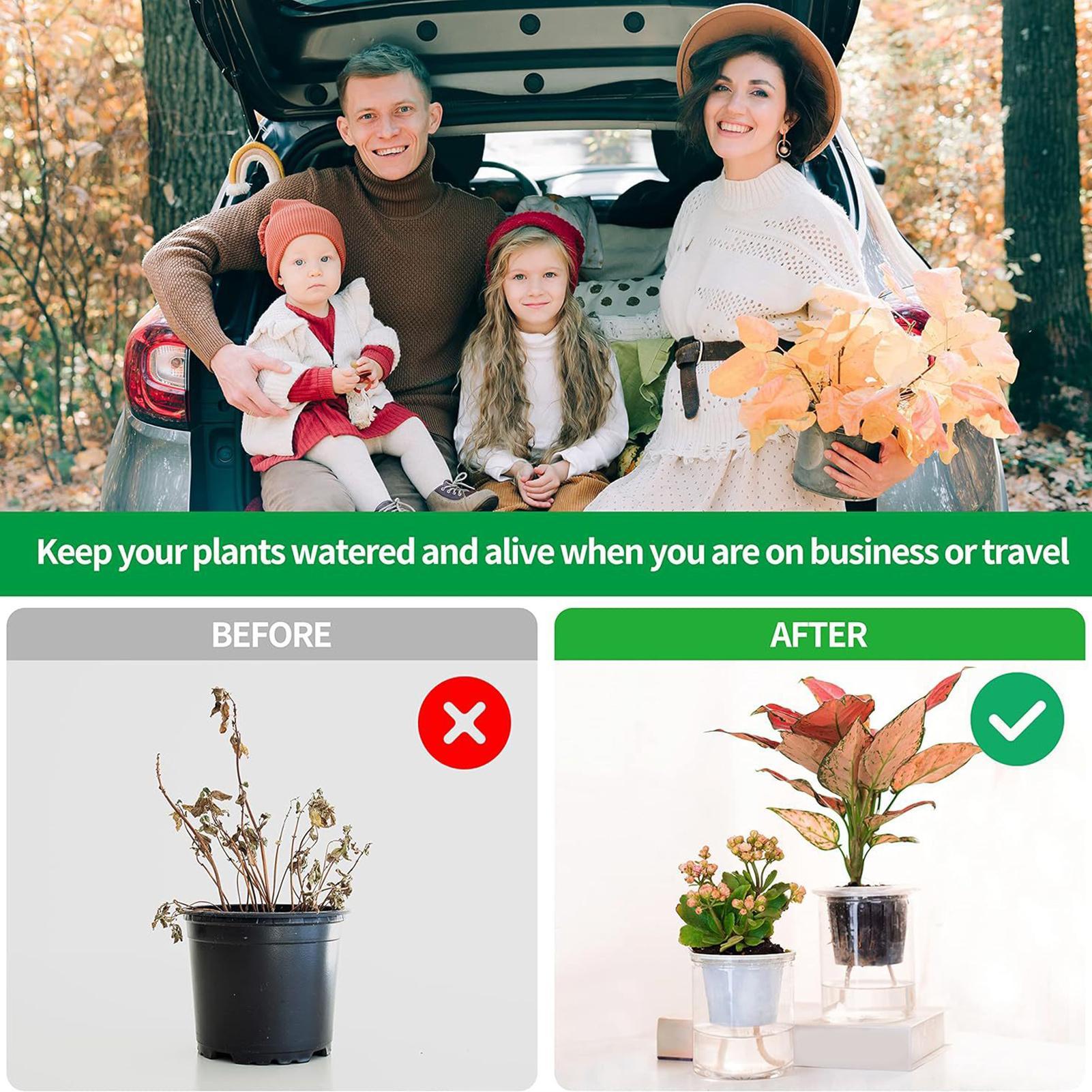 Plant Wicks For Self Watering  - Self Watering Planter ulasan dan harga