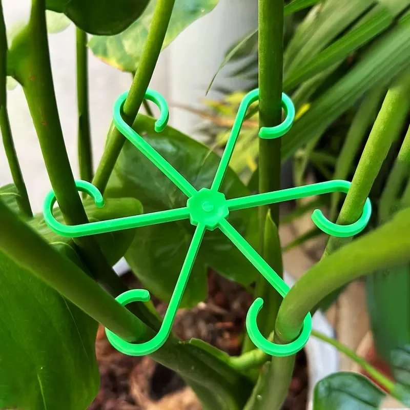 Flower Plant Stem Support Stak - Indoor Herb Garden ulasan dan harga