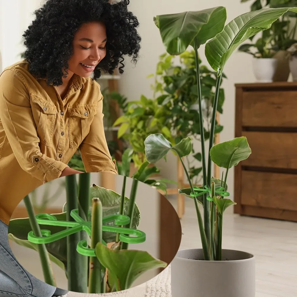 Flower Plant Stem Support Stak - Indoor Herb Garden ulasan dan harga