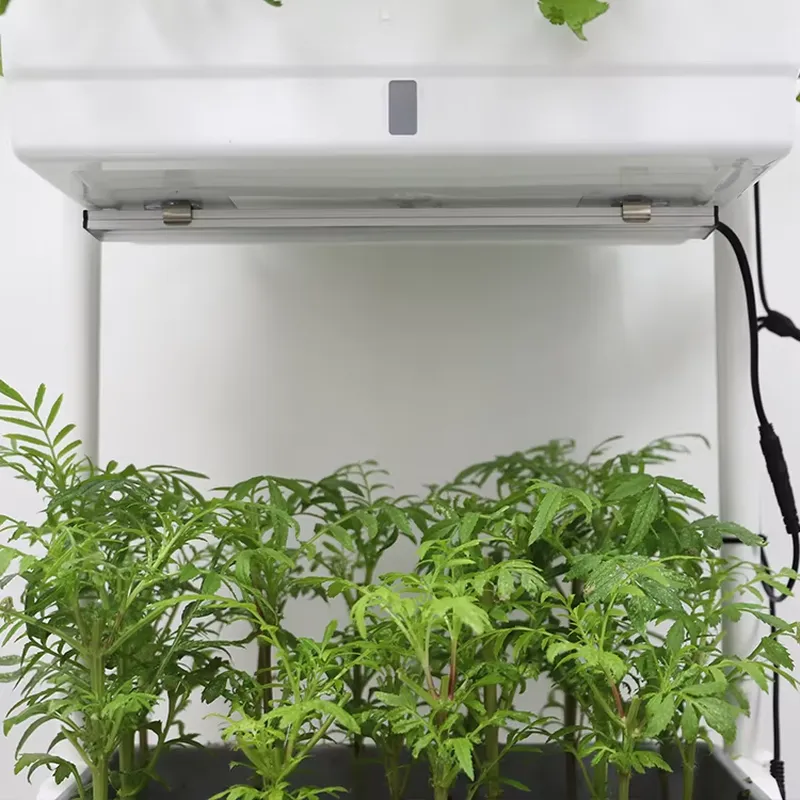 Movable Vertical Grow 3 Level  - Self Watering Planter ulasan dan harga