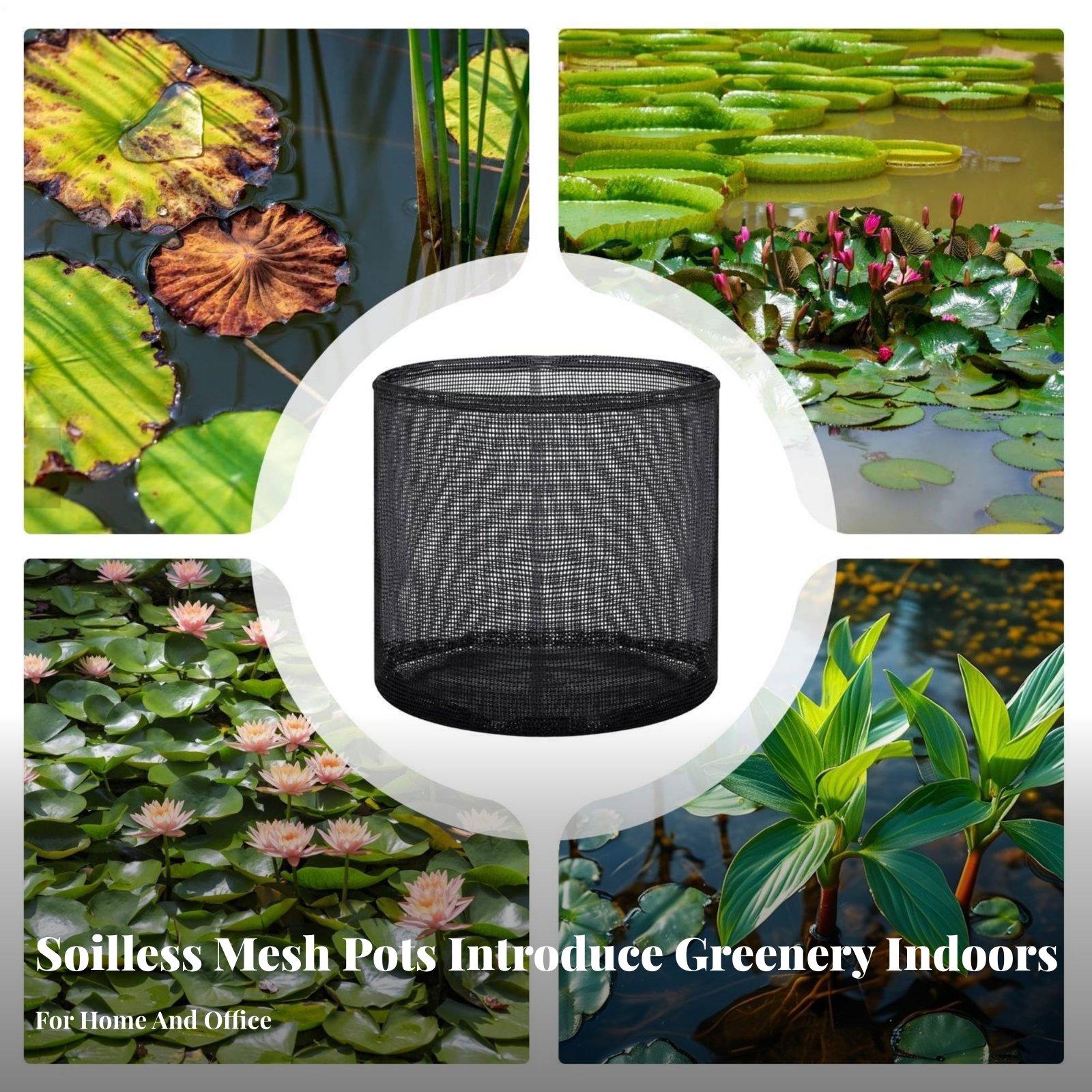 4 Piece Water Lily Planting Po - Grow Bag ulasan dan harga