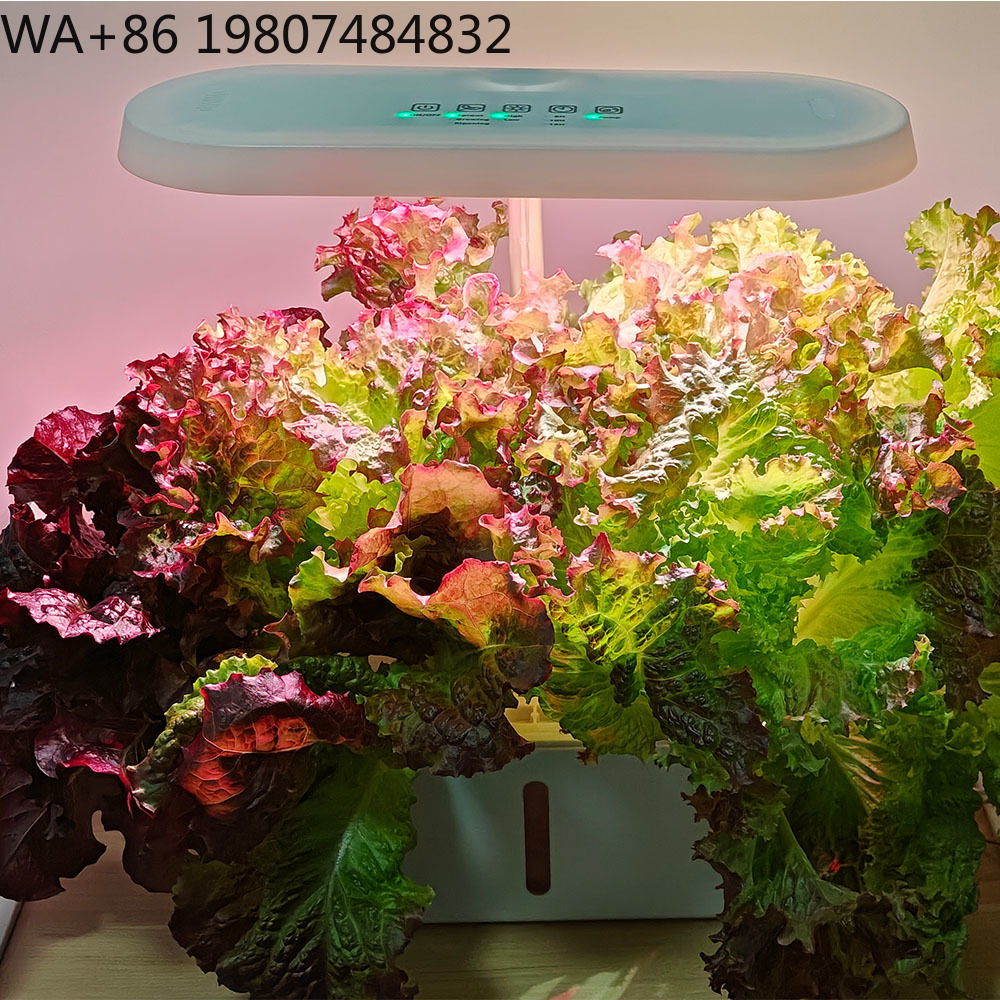 8 Hole Silent Circulation Soil - Hydroponic Kit ulasan dan harga