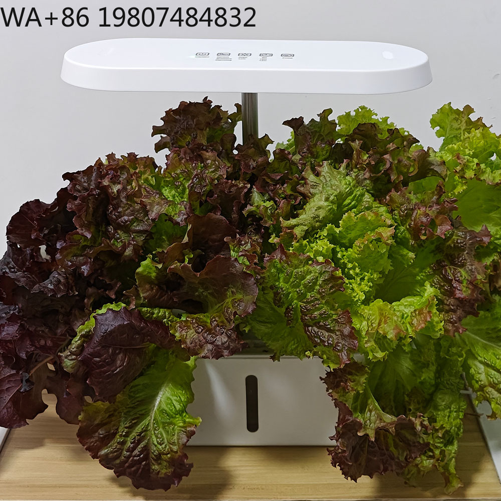 8 Hole Silent Circulation Soil - Hydroponic Kit ulasan dan harga