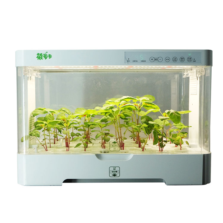 Small Indoor Intelligent Plast - Hydroponic Kit ulasan dan harga