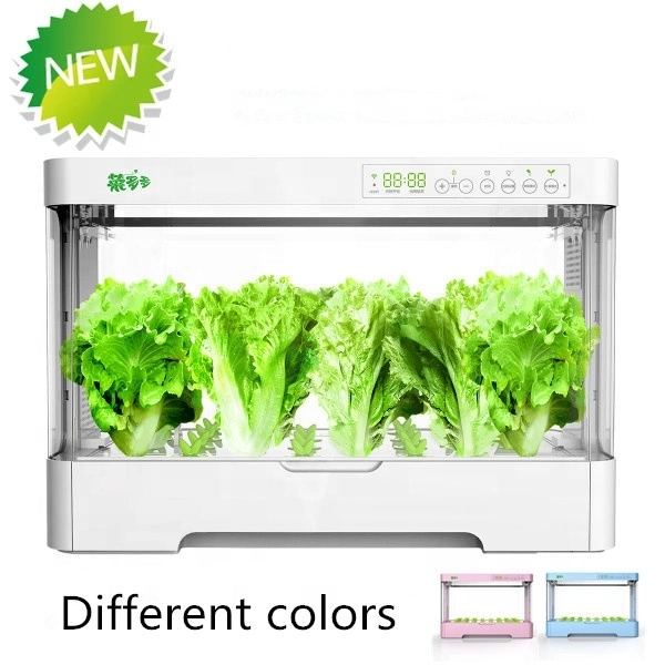 Small Indoor Intelligent Plast - Hydroponic Kit ulasan dan harga