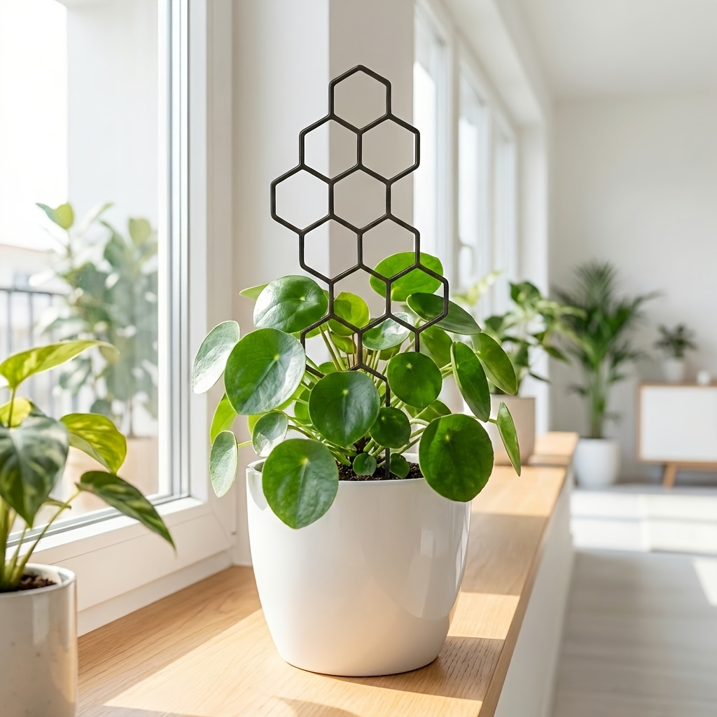 1/2Pack Indoor Plant Trellis G - Indoor Herb Garden ulasan dan harga