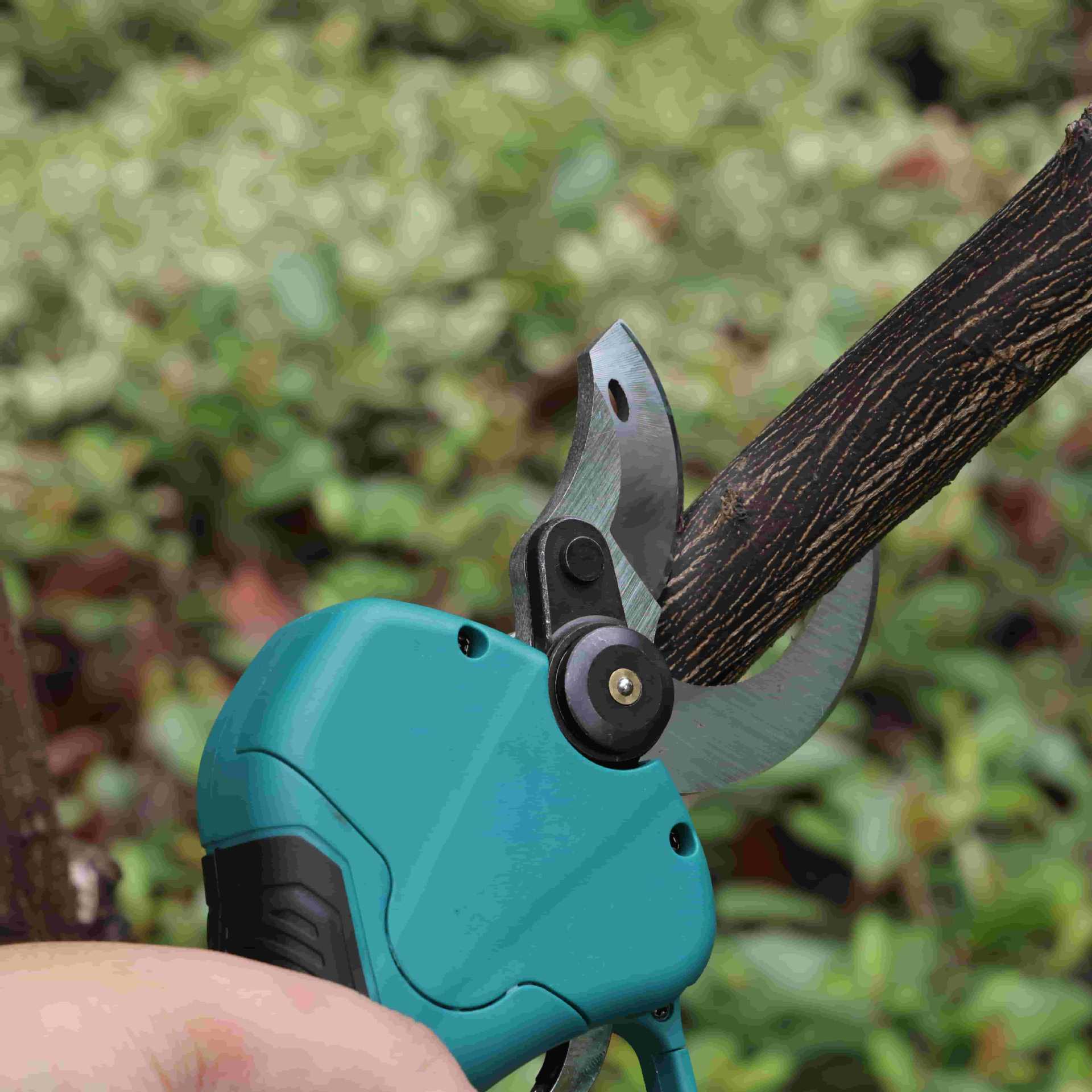 High pole garden pruning shear - Pruning Shears ulasan dan harga