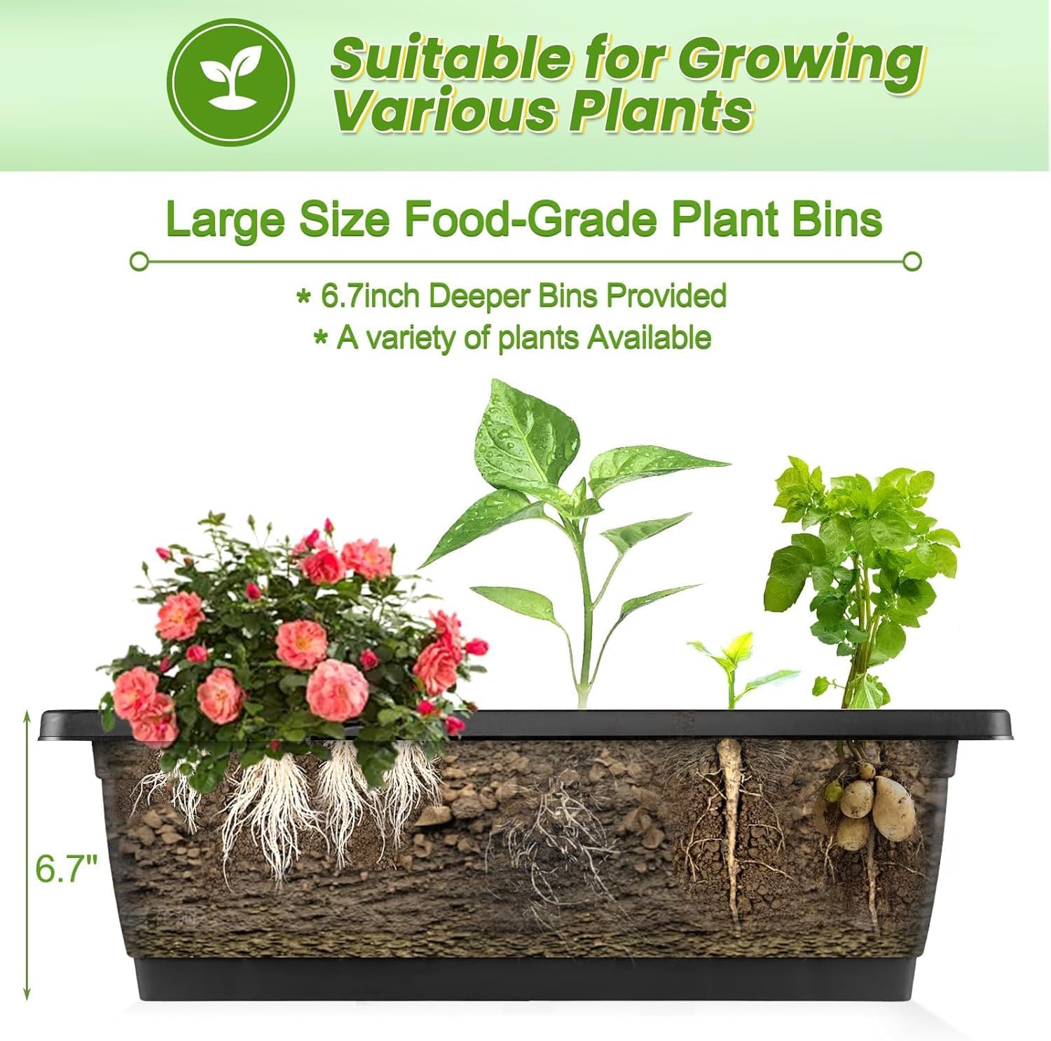 Vertical Raised Garden Bed Wit - Indoor Herb Garden ulasan dan harga