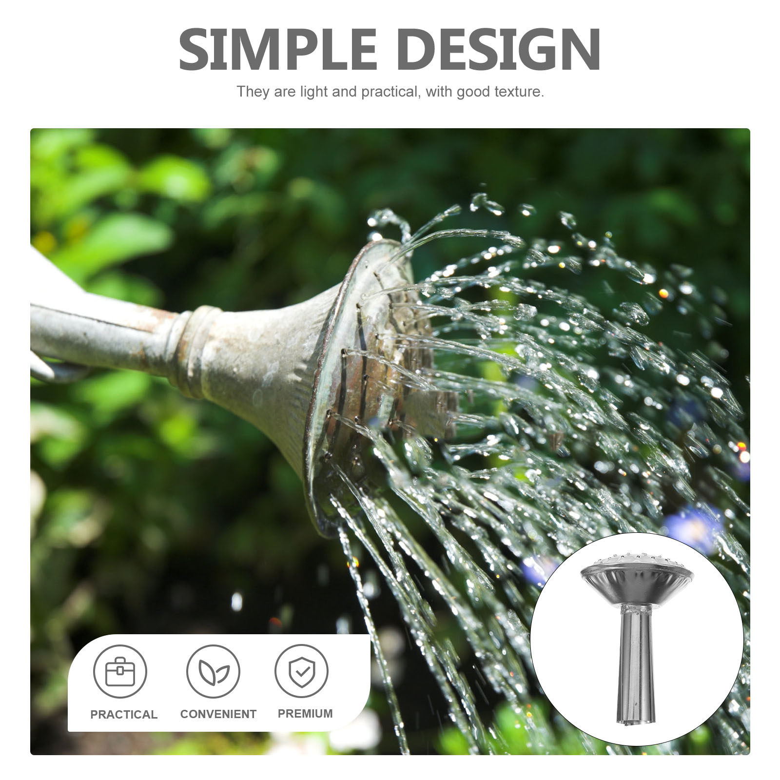 Stainless Steel Water Can Spra - Watering Can ulasan dan harga