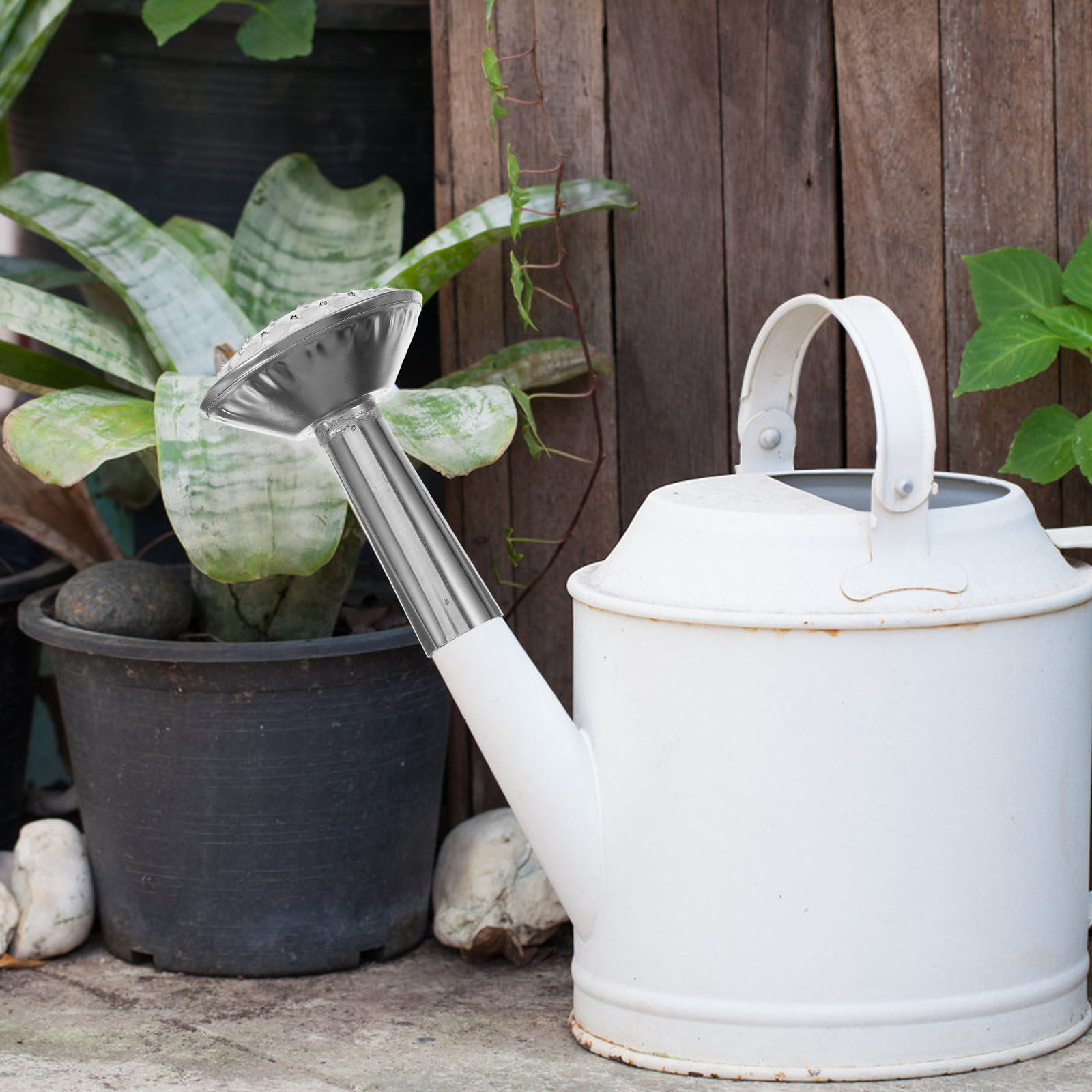 Stainless Steel Water Can Spra - Watering Can ulasan dan harga