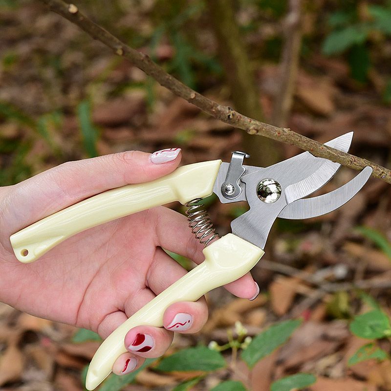 Labor‑Saving Garden Pruning Sh - Pruning Shears ulasan dan harga