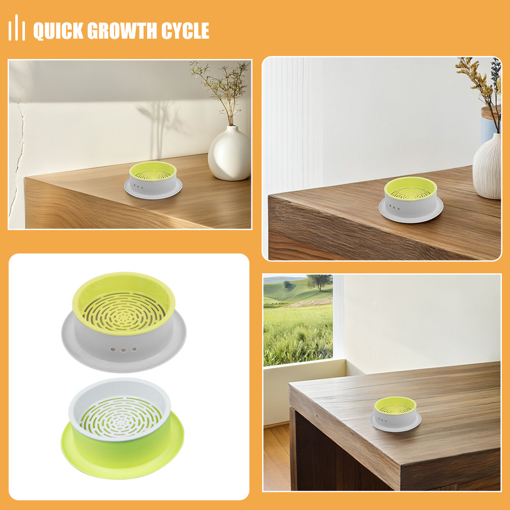 2Pcs Hydroponic Cat Grass Plan - Hydroponic Kit ulasan dan harga