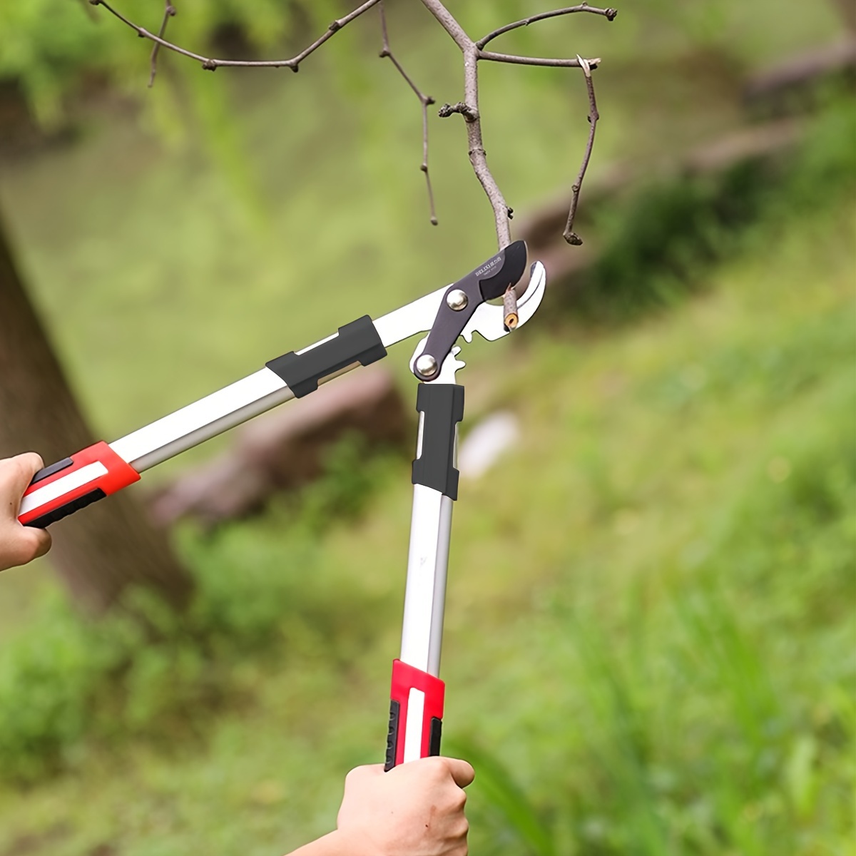Pruning Shears Heavy Duty SK5  - Pruning Shears ulasan dan harga