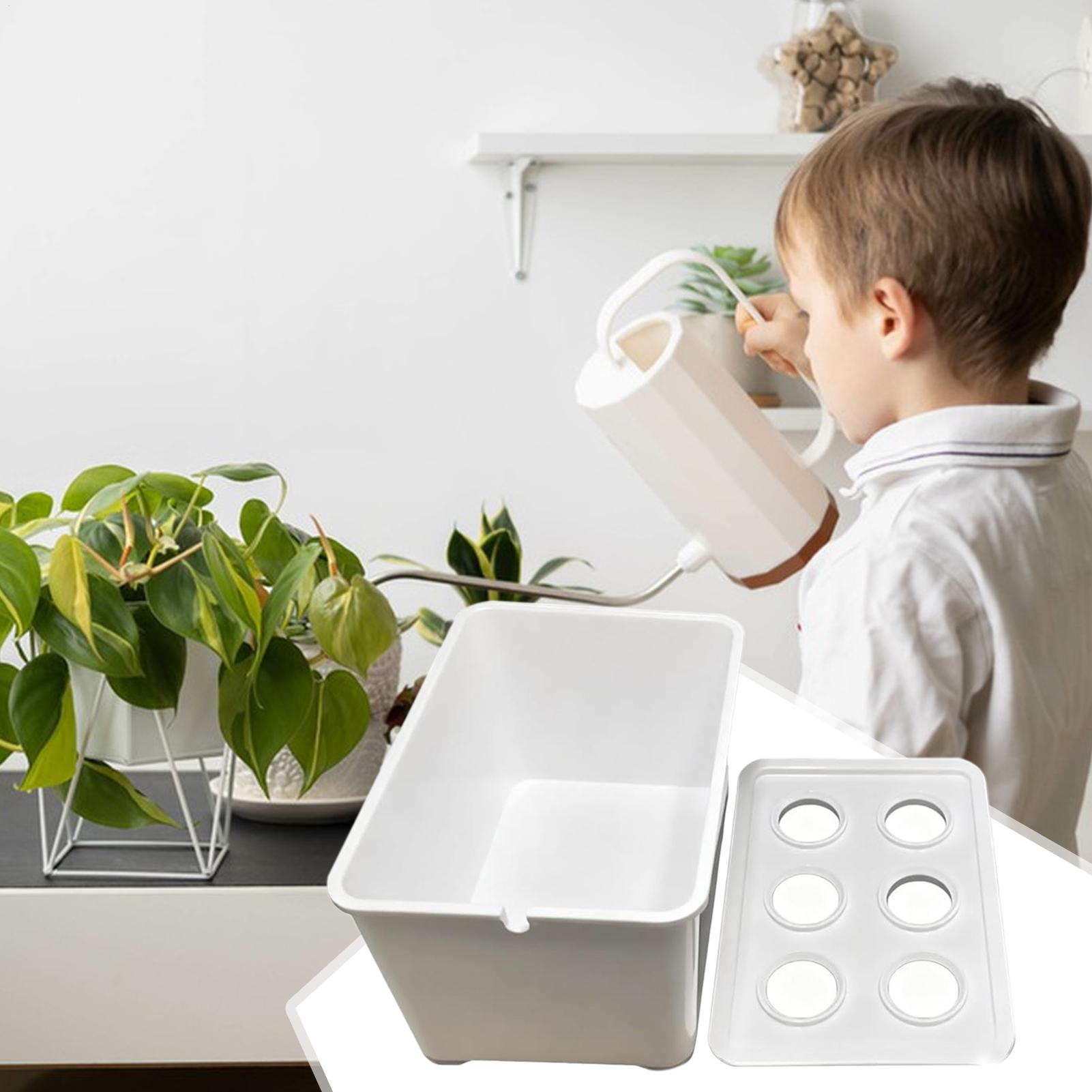 Hydroponic Planting Kit Beginn - Hydroponic Kit ulasan dan harga