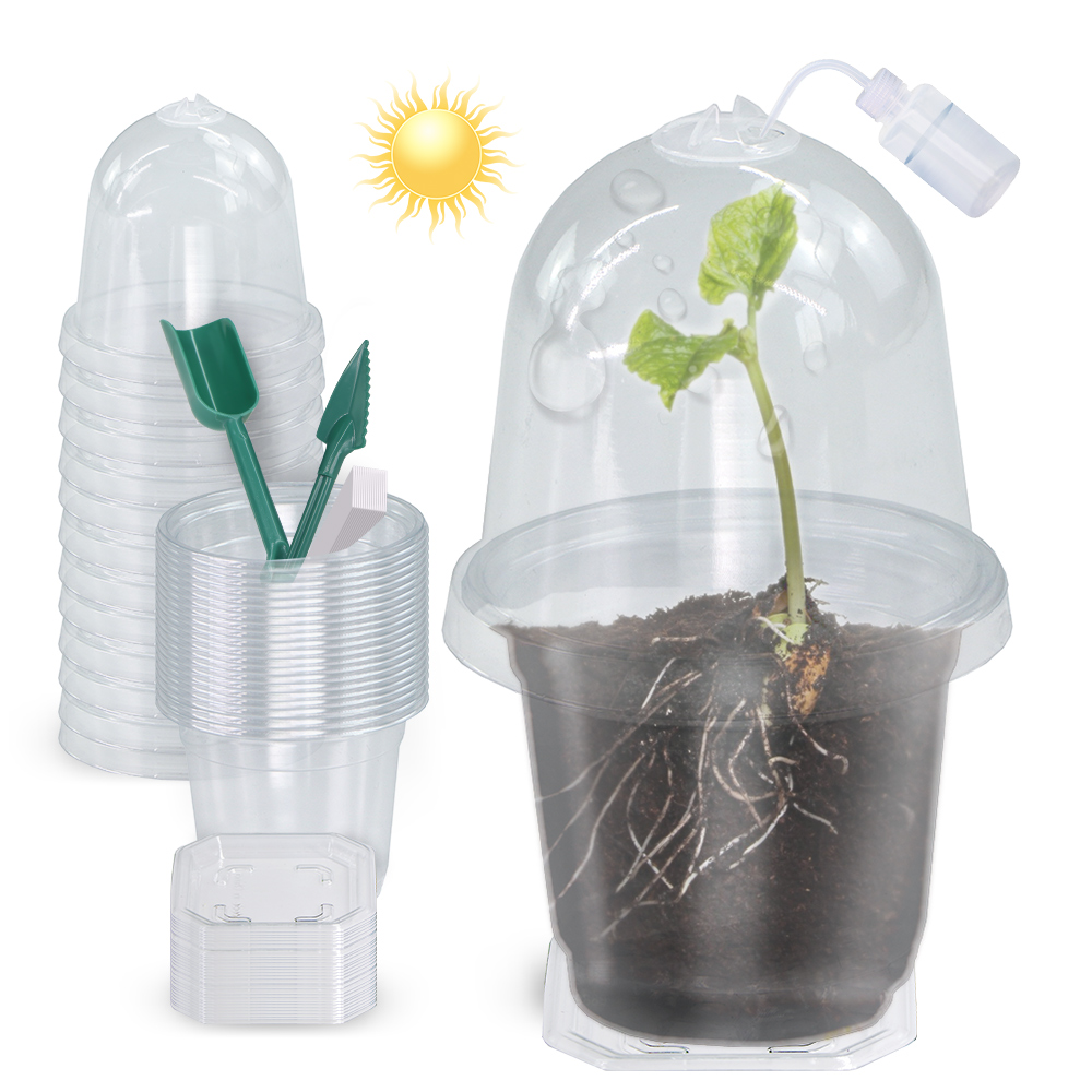 160x90CM Visible Clear Plants  - Seed Starter Tray ulasan dan harga