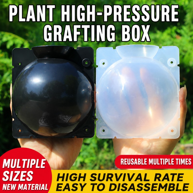 10pcs Plant Propagation Kit: H - Indoor Herb Garden ulasan dan harga