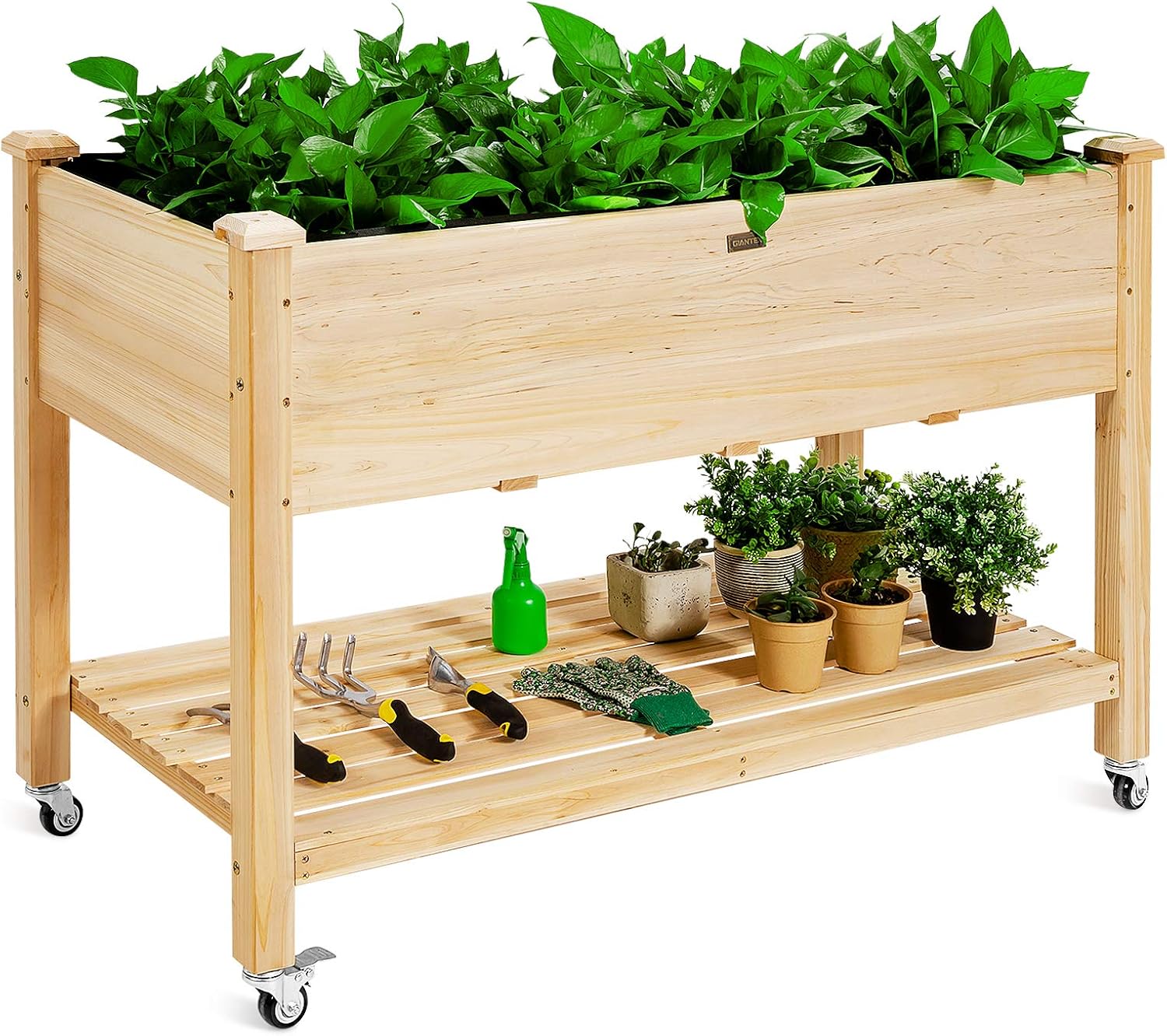 Wooden Raised Garden Bed on Wh - Raised Garden Bed ulasan dan harga