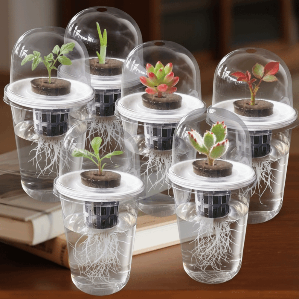 1-5pc Visible Clear Plants Ger - Seed Starter Tray ulasan dan harga