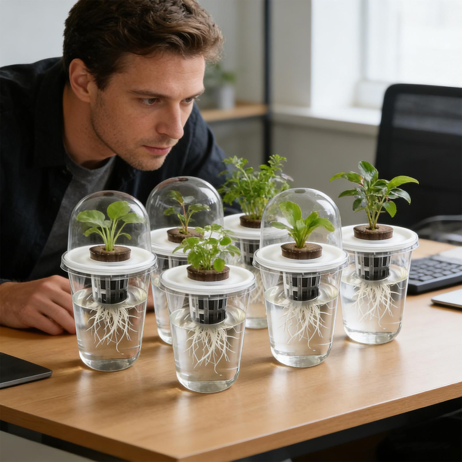 1-5pc Visible Clear Plants Ger - Seed Starter Tray ulasan dan harga