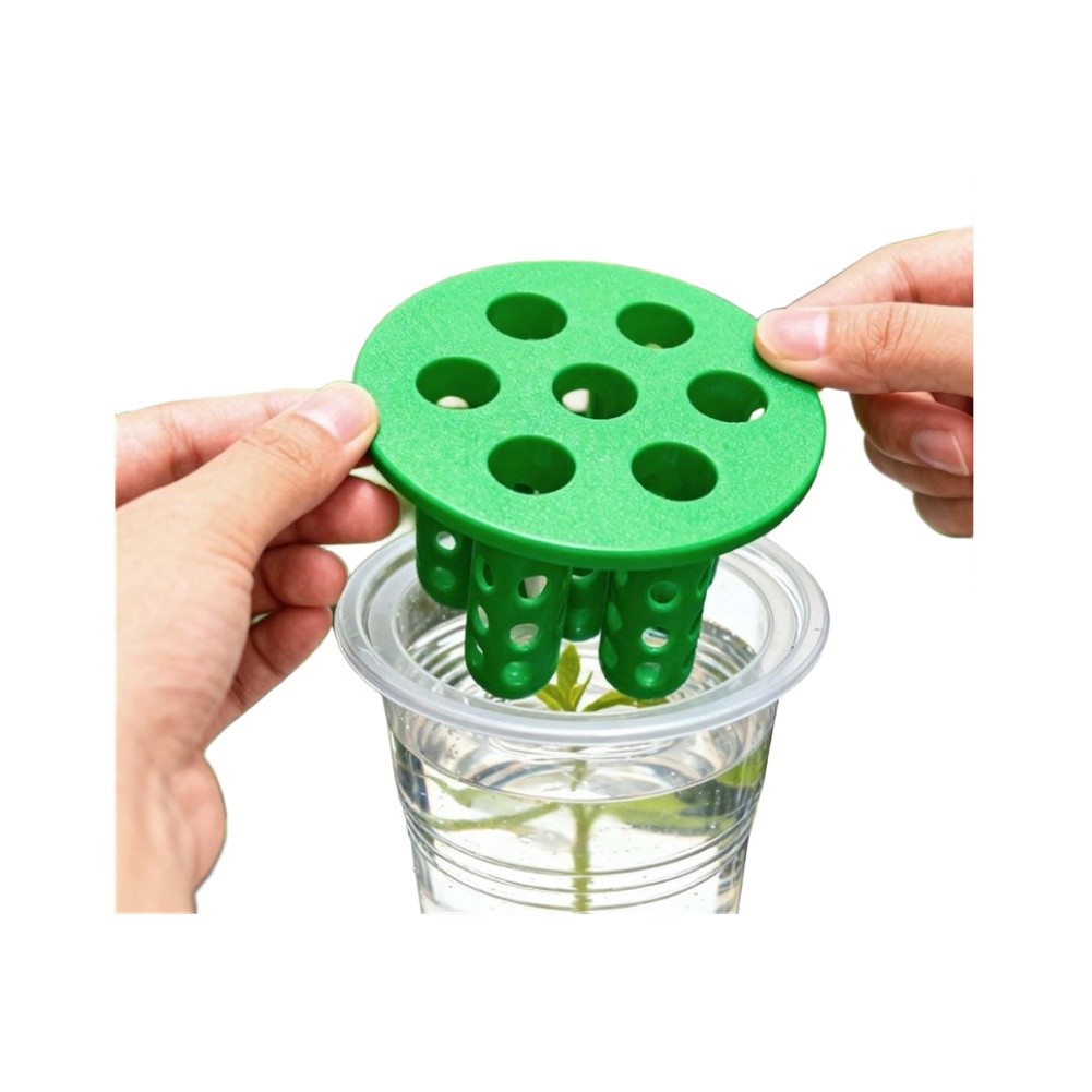 4pcs Green Onion Regrower Spro - Hydroponic Kit ulasan dan harga