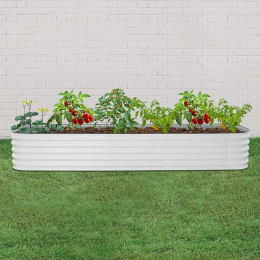 Raised garden bed kit for vege - Raised Garden Bed ulasan dan harga
