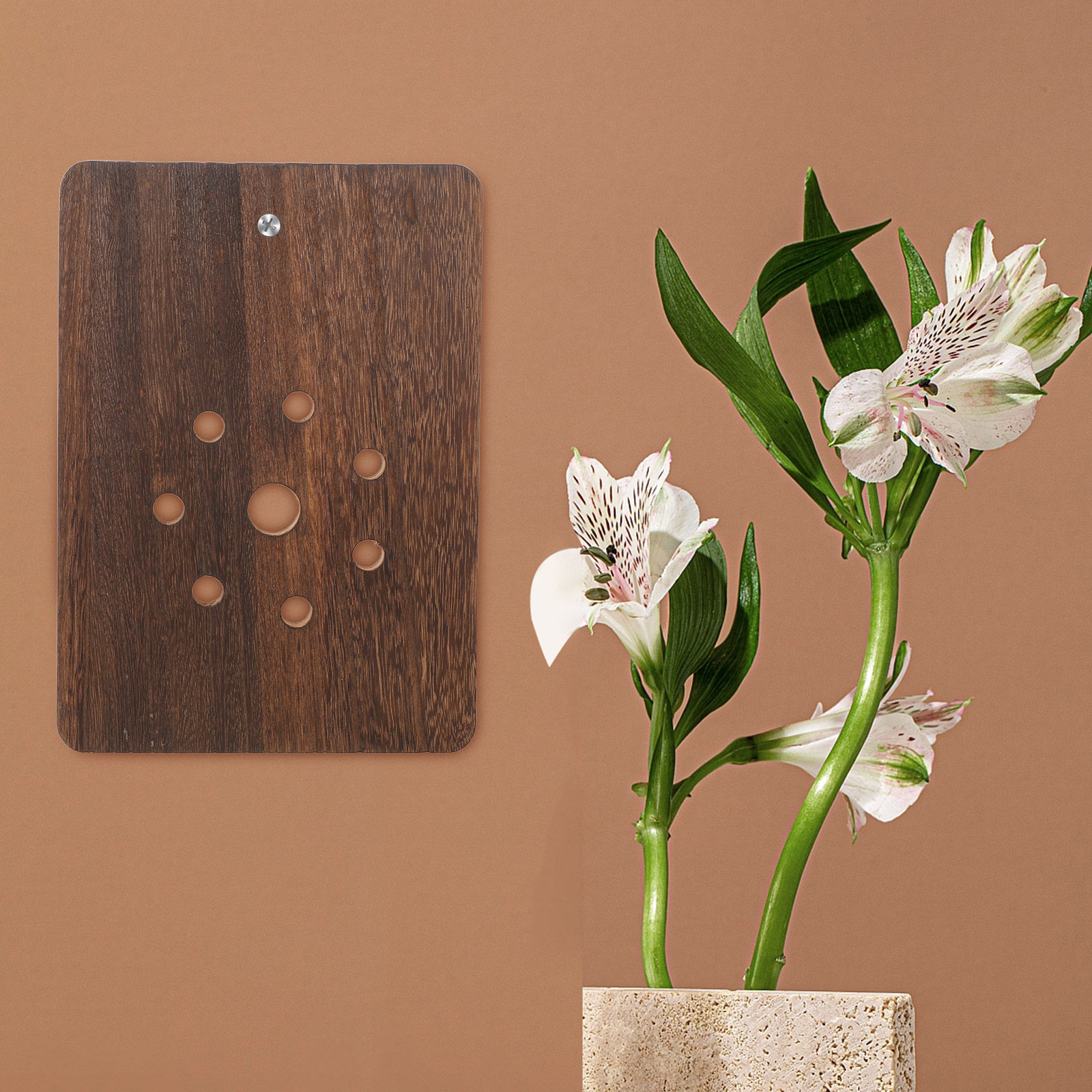 Staghorn Fern Mounting Board S - Vertical Planter ulasan dan harga