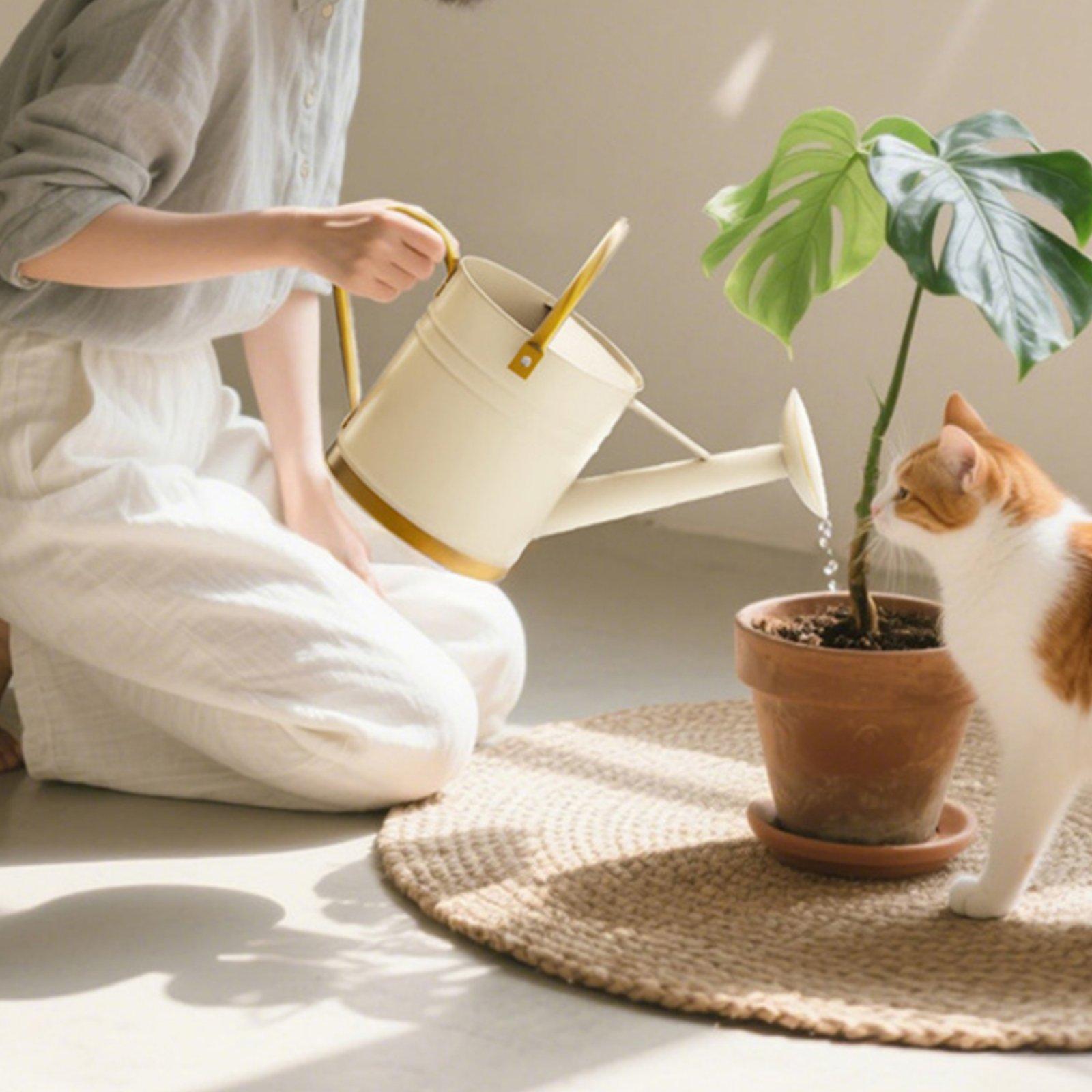 Long Spout Watering Can Leak-P - Watering Can ulasan dan harga