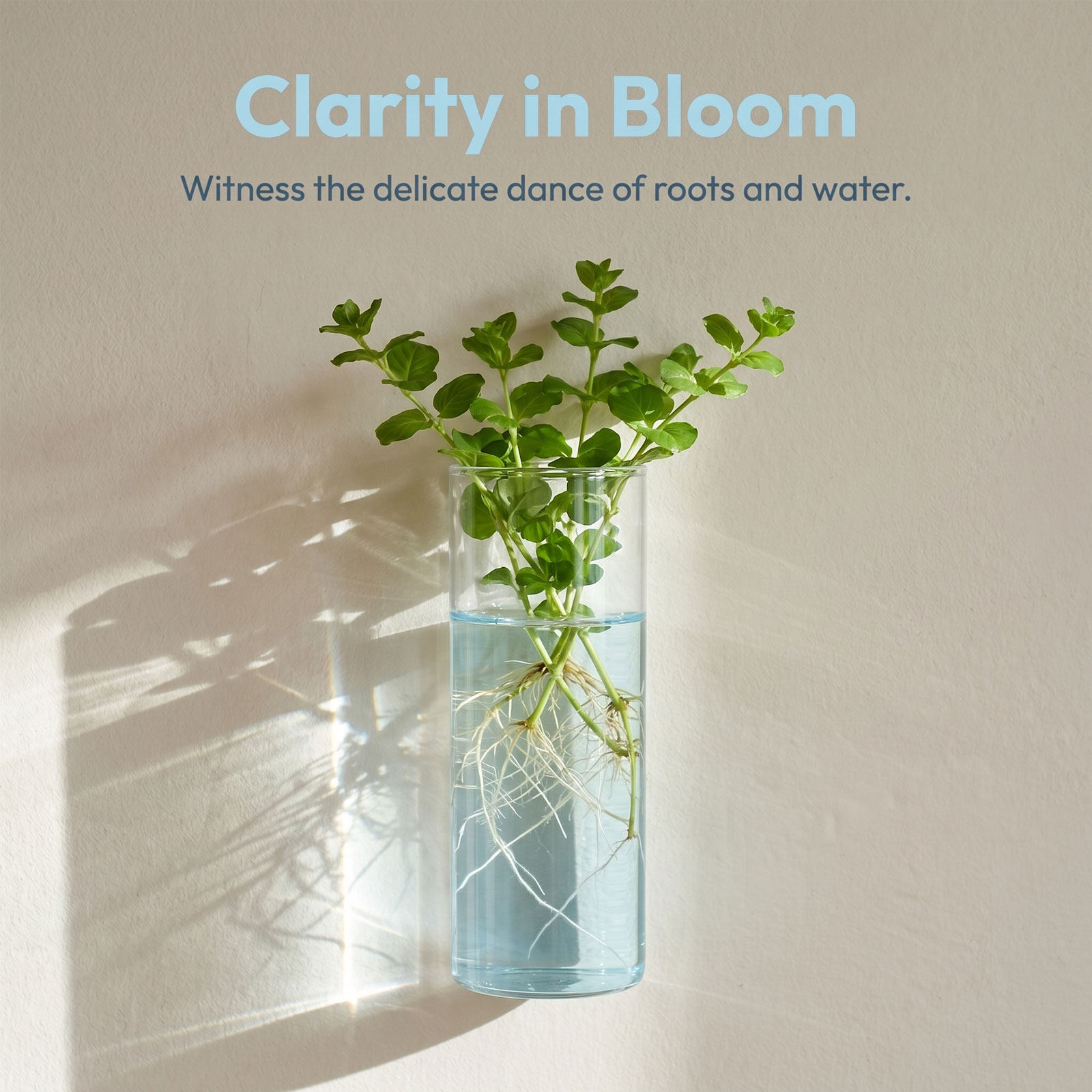 5Pcs Wall Planter Cylinder Gla - Vertical Planter ulasan dan harga