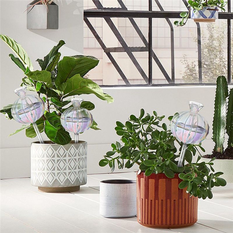AA94-Plant Watering Bulbs Plan - Self Watering Planter ulasan dan harga